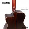 Yamaha AC3R TBS