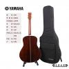Yamaha LL16 ARE/BS