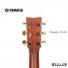 Yamaha LL16 ARE/BS