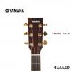 Yamaha LL16 ARE/BS