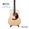 Martin D-10E 02