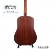 Martin D-10E 02