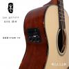 Lee guitars M30E ʼ