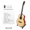 Lee guitars M30E ʼ