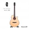 Lee guitars M30CE ʼ