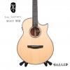 Lee guitars M30CE ʼ