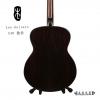 Lee guitars S40 ݷ