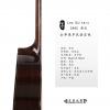 Lee guitars S40C ݷ