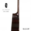 Lee guitars S40C ݷ
