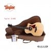 Taylor 214CE