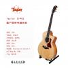 Taylor 214CE