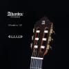 Alhambra 11P