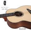 Lee guitars M30K ʼ