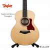 Taylor GS Mini-e Ovangkol