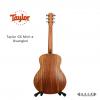 Taylor GS Mini-e Ovangkol