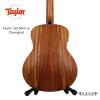 Taylor GS Mini-e Ovangkol