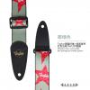 Taylor TCS1-002 