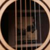 Lee guitars DJ30 ʼ