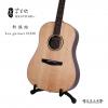 Lee guitars DJ30 ʼ