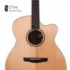 Lee guitars S30CE ʼ