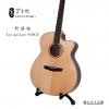 Lee guitars S30CE ʼ