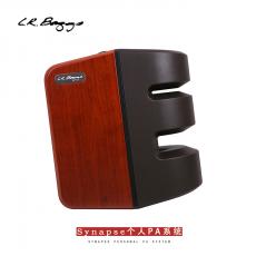 L.R.Baggs Synapse PAϵͳ