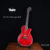 Taylor T5z Pro Borrego Red ľ