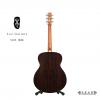 Lee guitars S30E ʼ