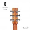 Lee guitars S30E ʼ