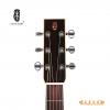 Lee Guitars M30P ʼ