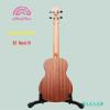aNueNue B3 - Basic III