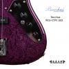 Bacchus WL5-CTM LED  ˹