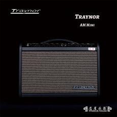 Traynor AM Mini