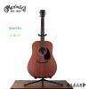 Martin D-10E 01