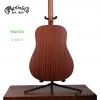 Martin D-10E 01