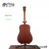 Martin D-10E 01