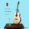 ۳ lee Guitars ǩذ
