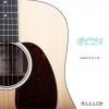 Martin D-13E