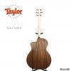 Taylor 114CE M