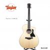 Taylor 114CE M