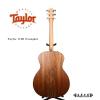 Taylor 114E Ovangkol