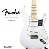 Fender 014-4502-515  ST ذ