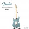 Fender 011-3010-748 ר ٻ