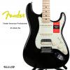 Fender 011-3042-706 ר ɫ