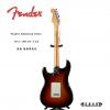 Fender 011-8010-712  ɫ