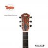 Taylor GS Mini-e Rosewood