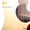 Gibson J-45 Studio ԭľɫ