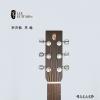 Lee Guitars  S