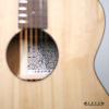 Lee Guitars  S