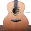 Lee Guitars Ƽ